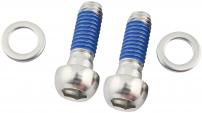Bracket Mounting Bolts - Stainless (2 pcs)